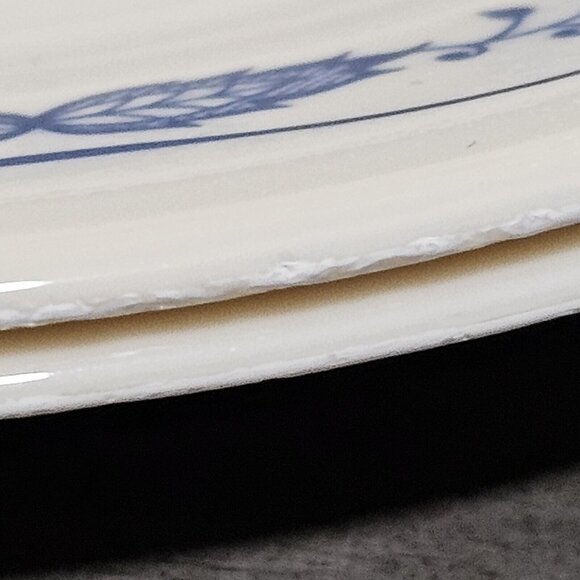 Corelle Blue Onion Floral Plate Set tan 2-salad 2-dinner plates 4-pieces table s - Picture 3 of 12